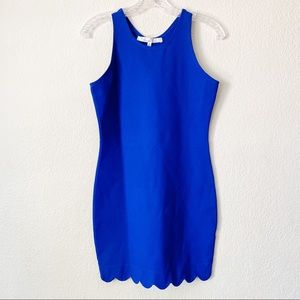 Lovers + friends Blue Scalloped Mini Dress